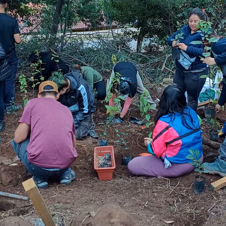 Plantamos árboles