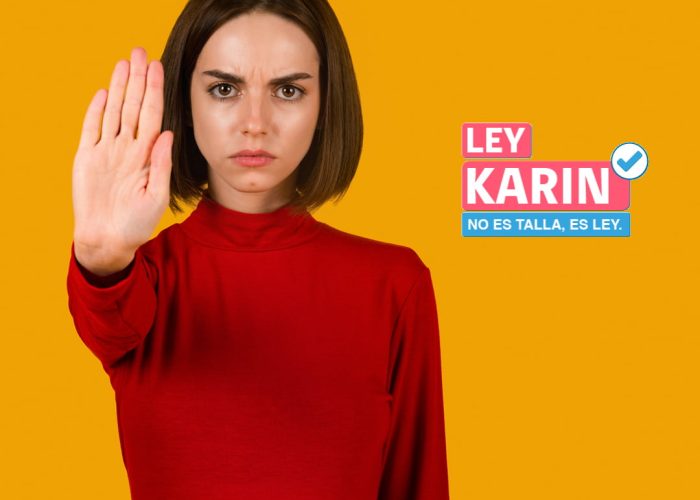 Ley Karin: Un Paso Decisivo contra el Acoso Laboral en Chile